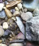 image-1738607492.webp