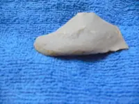 DSCN0420.webp
