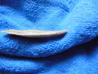 DSCN0423.webp