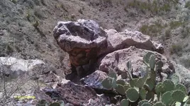 IMAG0227 (5).webp
