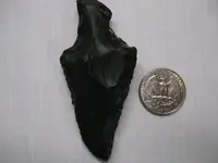 002 ARROWHEAD.webp
