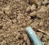 20130530_Diggen Copper.webp