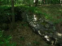 101_3411.webp