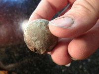 Hallie ball.gif Hallie ball.gif