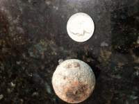 hallie ball 2.gif hallie ball 2.gif