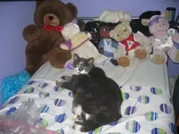 Bugsy poses!.webp