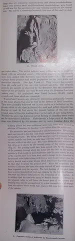Page 5 & 6.webp