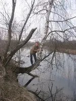 я и дерево.webp