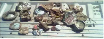 Park Junk.webp