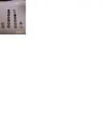 coins pics 009.webp
