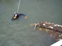 marinasalvage2.webp