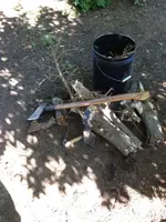 image-3393445108.webp