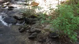 DSCF1524.webp
