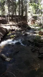 DSCF1522.webp
