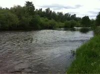image-4148776776.webp