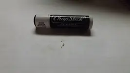 DSCF1539.webp