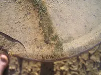 P6100201.webp