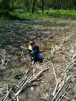 130512_0002.webp