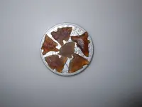 DSCN3327.webp