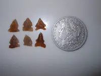 DSCN3329.webp