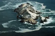 Mercury_Island,_just_off_the_Diamond_Coast_of_Namibia_(by_Brian_McMorrow).webp