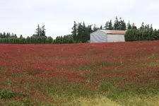 013.webp
