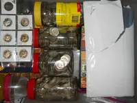DSCN6319.webp