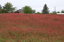 022.webp