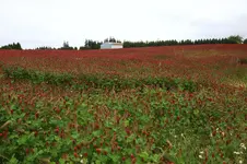 021.webp