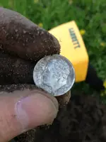 coin.webp
