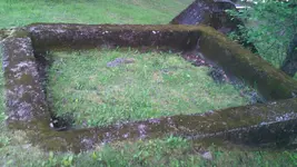 structure 2.webp