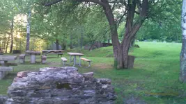 bbq4.webp