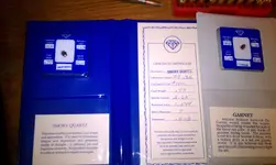 IMAG0112.webp