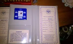 IMAG0113.webp