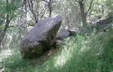 P050613_10.48.webp