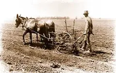 cultivator1.webp
