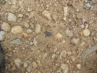 DSCN0412.webp