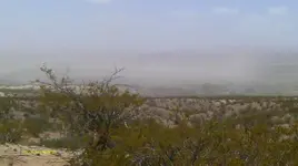 IMAG0463 (3).webp