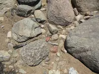 DSCN0481.webp
