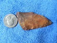DSCN0497.webp