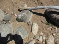 DSCN0482.webp