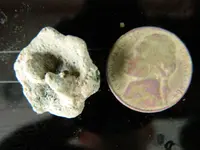 DSCN4398.webp