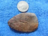 DSCN0494.webp