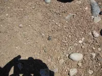 DSCN0483.webp