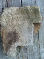 image-1950415216.webp
