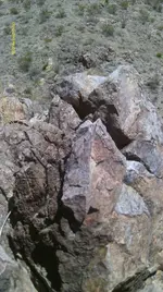 IMAG0782 (3).webp