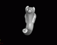 177_bear_pipe.gif