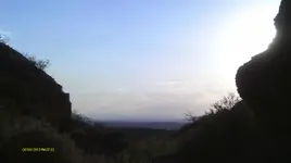IMAG1411.webp