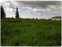 IMG-20130512-02181.webp