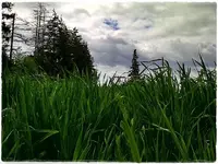 IMG-20130512-02188.webp